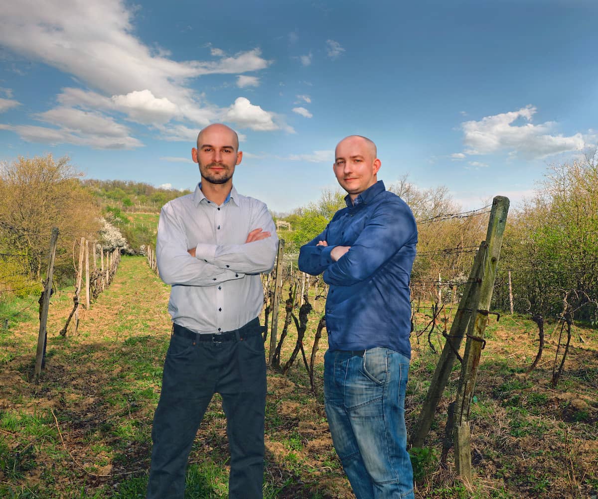 Krizanovic & Prievoznik